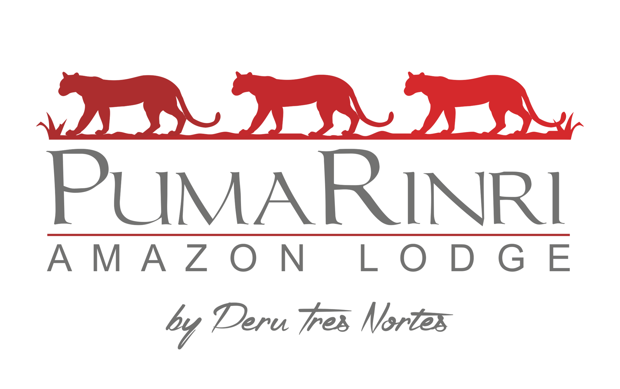 Hotel Pumarinri Amazon Lodge | Estadía doble de 2 noches con desayuno incluido